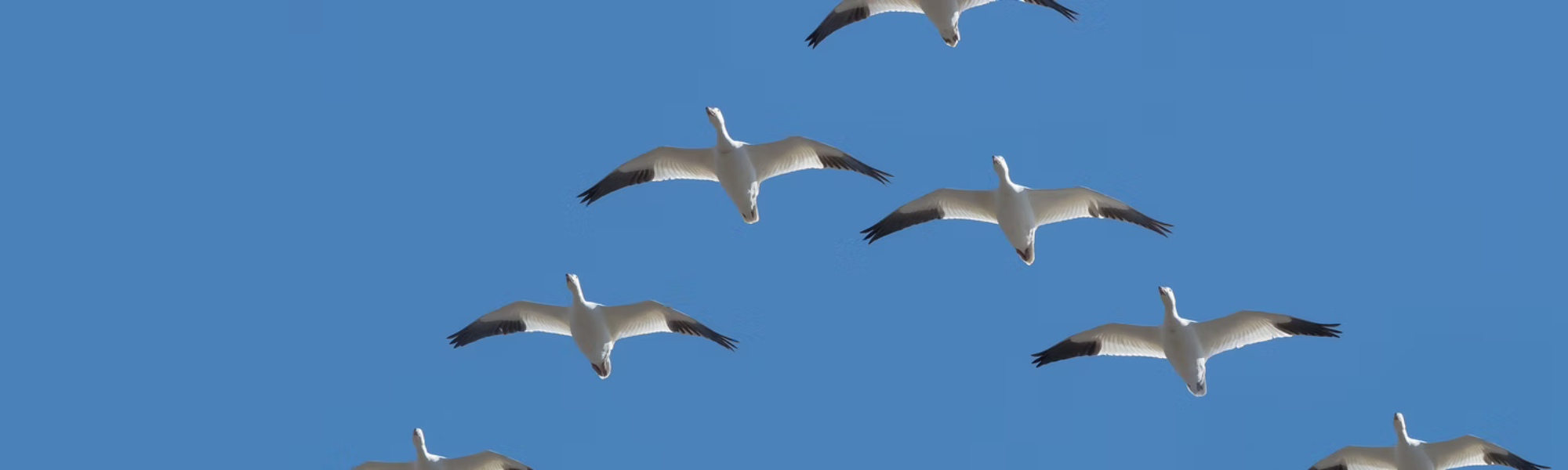 Nous rejoindre en vol